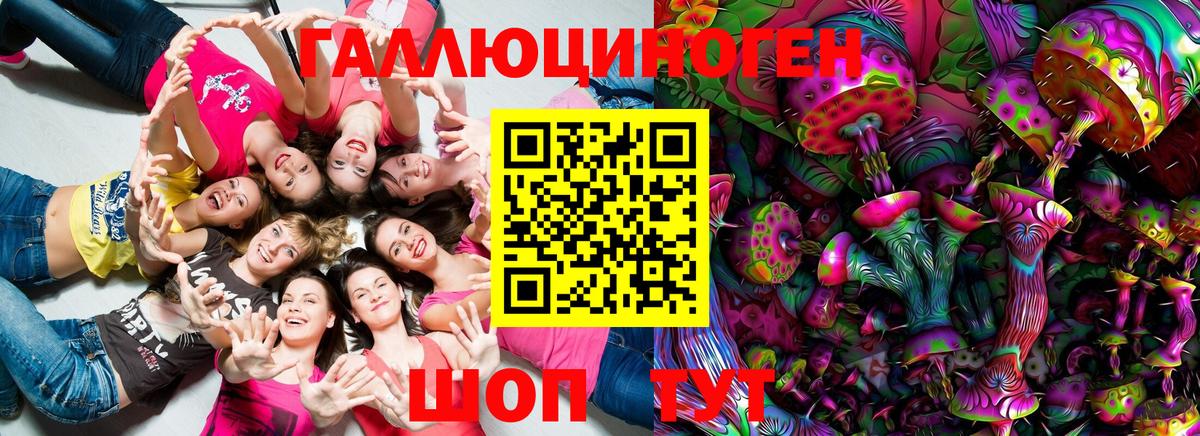 Гусев  Псилоцибиновые грибы Psilocybe  Вход с VPN 